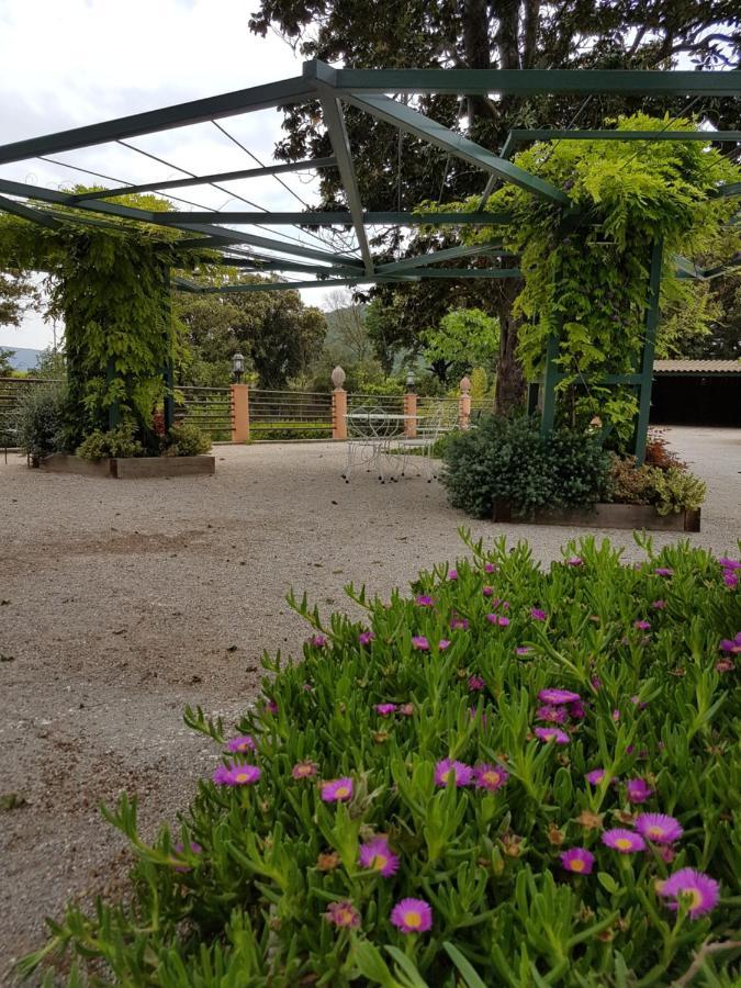 Hotel Du Lingousto Cuers